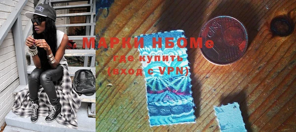 ПСИЛОЦИБИНОВЫЕ ГРИБЫ Богданович