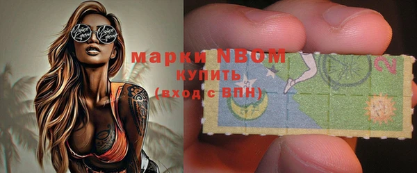 ПСИЛОЦИБИНОВЫЕ ГРИБЫ Богданович